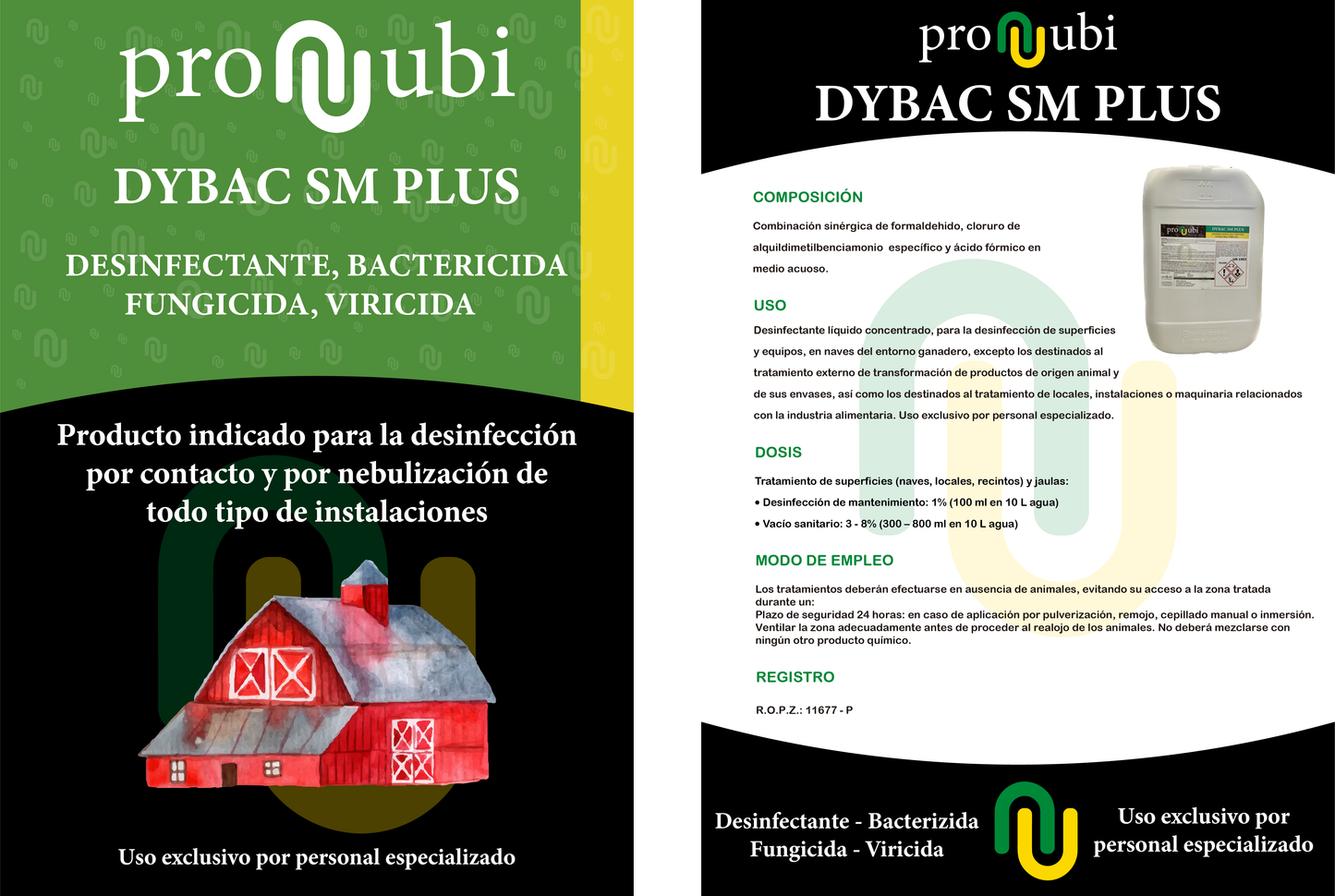 Dybac SM Plus