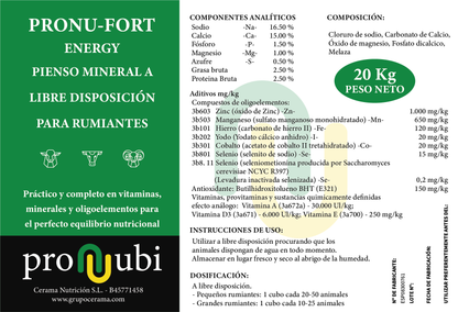 Pronu-Fort Energy