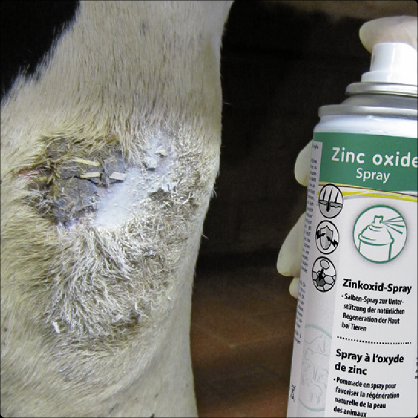 Zinc Oxide Spray